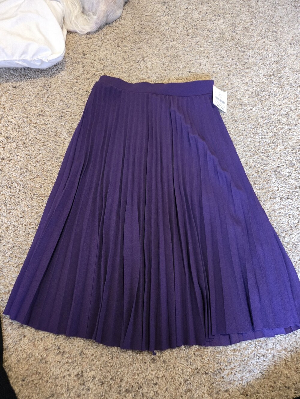 Women's Pleated Circle Skirt in Deep Purple